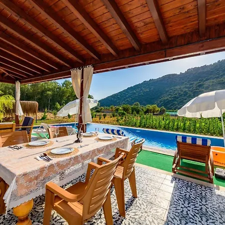 Nazen Lejlighed Fethiye
